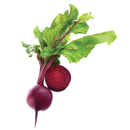 Fresh Beets